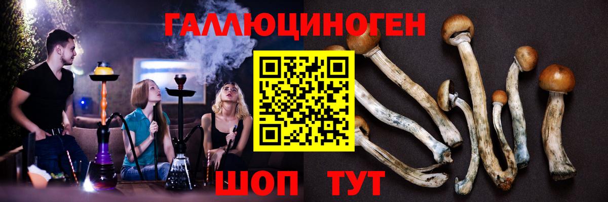Карабулак  Псилоцибиновые грибы ЛСД  Вход с VPN 